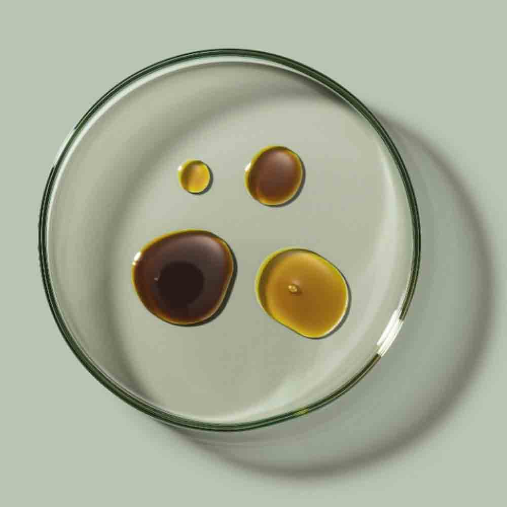 BioBloom CBD Öl 8 % - BIO CBD Hanföl Tropfen 10ml 30ml - Biobloom cbd oel tropfen 11 BioBloom CBD Öl 8 % - BIO CBD Hanföl Tropfen 10ml 30ml – Bild 3