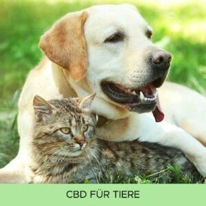 CBD Tiere