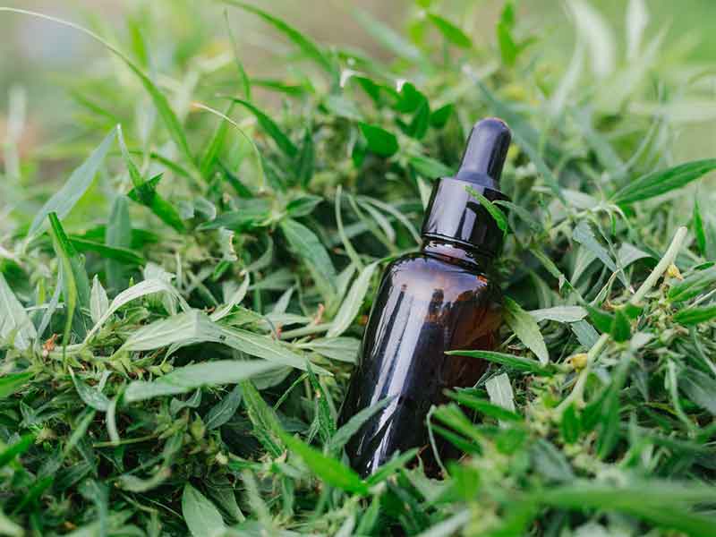 Cannabisoel - Edelhanf - Ihr Premium CBD Shop