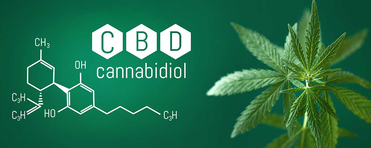 endocannabinoidsystem2 - Edelhanf - Ihr Premium CBD Shop