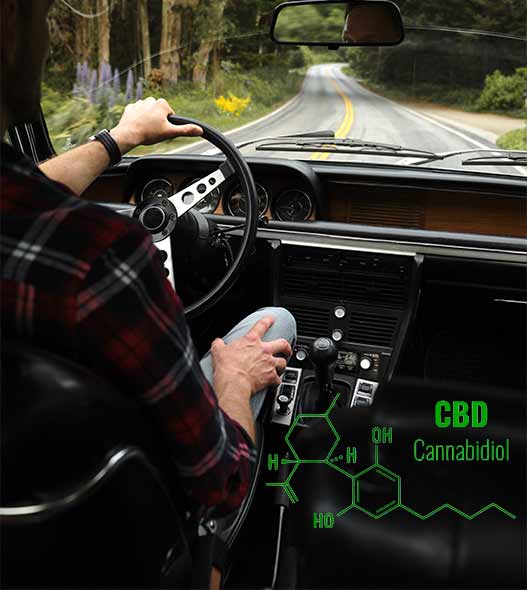 Drogentest CBD THC Autofahren