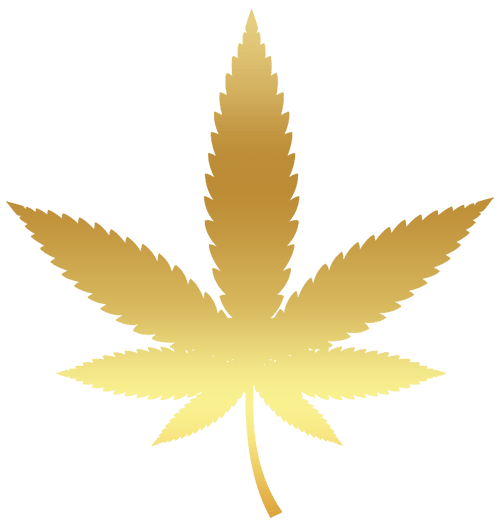 goldenes cannabisblatt2 - Edelhanf - Ihr Premium CBD Shop