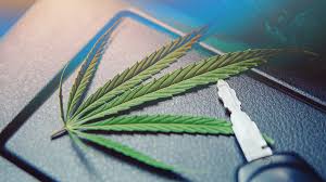 HHC Autofahren und Führerschein: Rechtliche Bestimmungen und Risiken erklärt - HHC autofahren HHC Autofahren und Führerschein