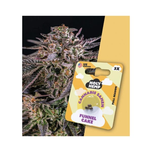 Holy Hemp Cannabis Samen Funnel Cake