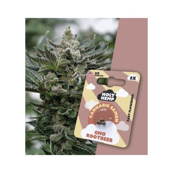 Holy Hemp GMO Rootbeer Cannabis Samen