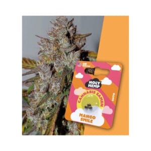 Mango Smile THC Samen - Edelhanf - Ihr Premium CBD Shop