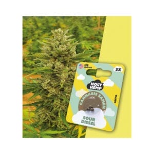 Sour Diesel THC Samen - Edelhanf - Ihr Premium CBD Shop