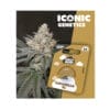 Holy Hemp Caramello XL Cannabis Samen