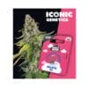 Holy Hemp Gelato XL Cannabis Samen