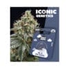 Holy Hemp NL x Big Buds Iconic Cannabis Samen