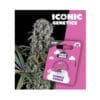 Holy Hemp Purple Punch Cannabis Samen