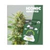 Holy Hemp Critical XXL Cannabis Samen
