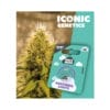 Holy Hemp Northern Lights Cannabis Samen