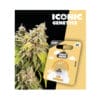 Holy Hemp UK CHeese Cannabis Samen