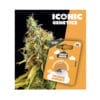 Holy Hemp Orange Sherbet Cannabis Samen