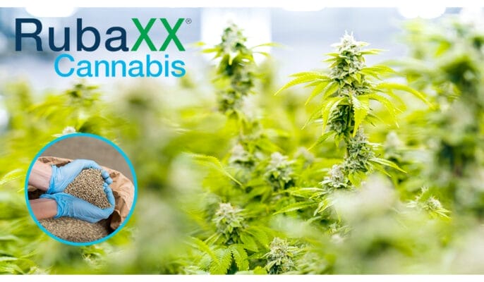 Rubaxx - Edelhanf - Ihr Premium CBD Shop