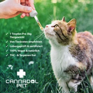 Cannadol Pet 3% Premium CBD Öl für Katzen - Cannadol Cat Mood 1 Cannadol Cat Mood 1 - Edelhanf - Ihr Premium CBD Shop