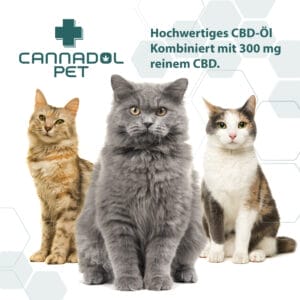 Cannadol Pet 3% Premium CBD Öl für Katzen - Cannadol Cat Mood 2 Cannadol Cat Mood 2 - Edelhanf - Ihr Premium CBD Shop