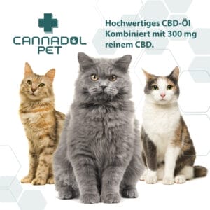 Cannadol Cat Mood 2 - Edelhanf - Ihr Premium CBD Shop