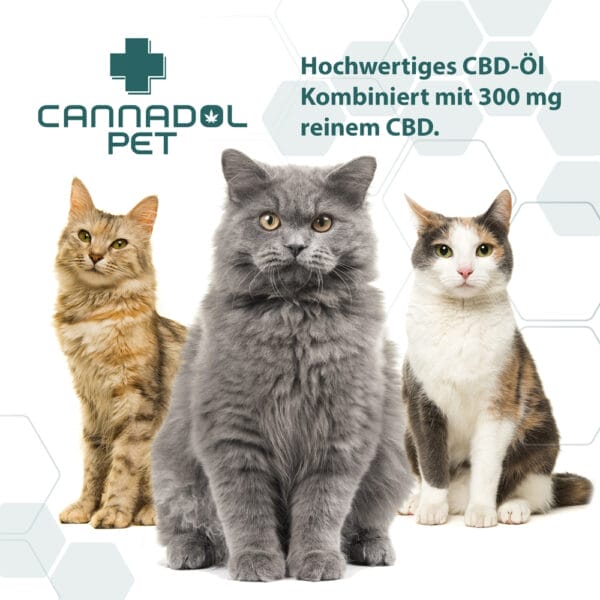 Cannadol Pet 3% Premium CBD Öl für Katzen - Image 5