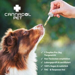 3 für 2 Cannadol Hunde CBD Öl - Cannadol Dog Mood 1 Cannadol Dog Mood 1 - Edelhanf - Ihr Premium CBD Shop