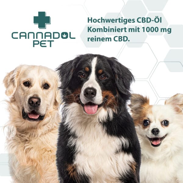 Cannadol Pet 10% Premium CBD Öl für Hunde - Image 5