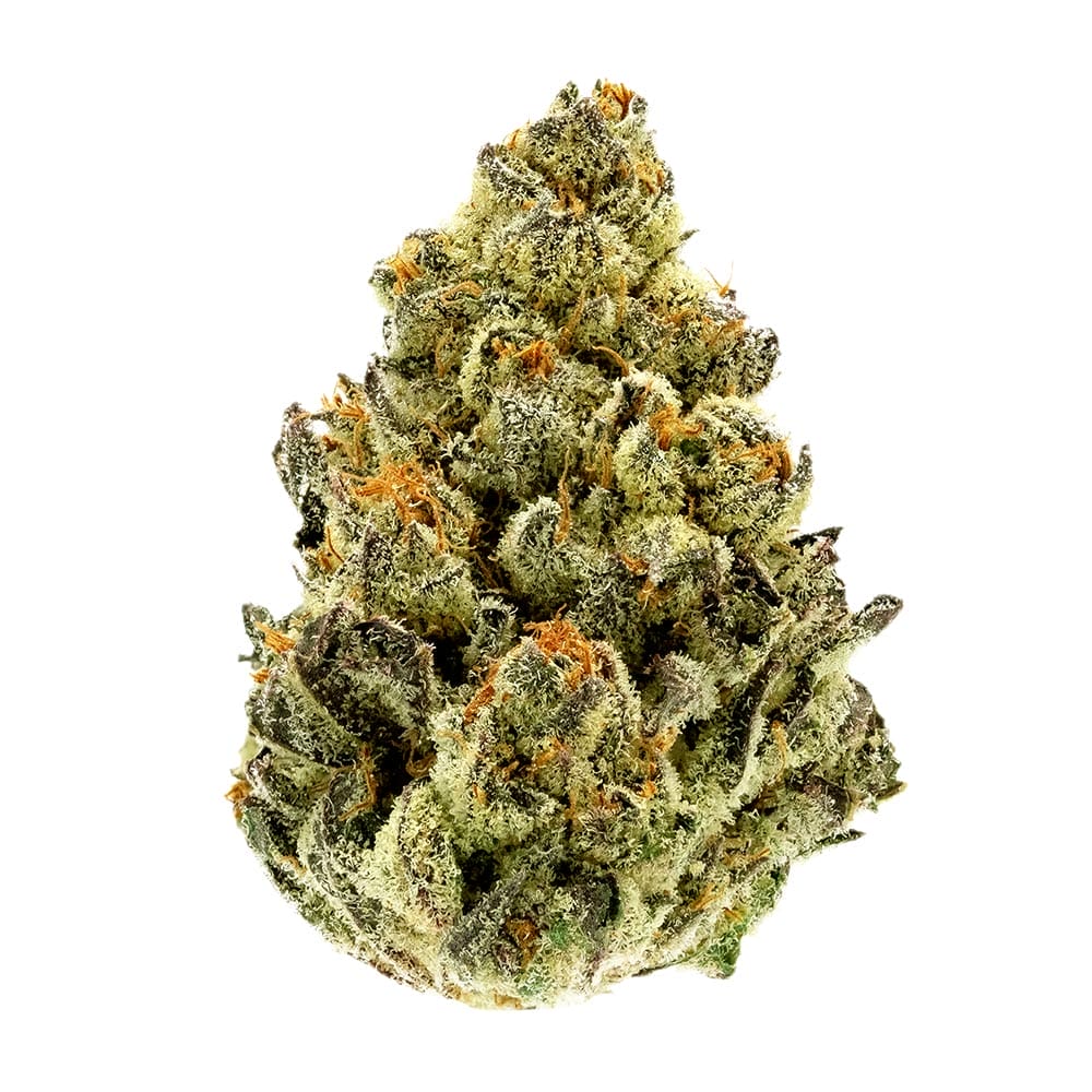 Gorilla Glue CBD Blüten 1g/3g - gorilla glue cbd bluete Gorilla Glue CBD Blüten 1g/3g – Bild 3