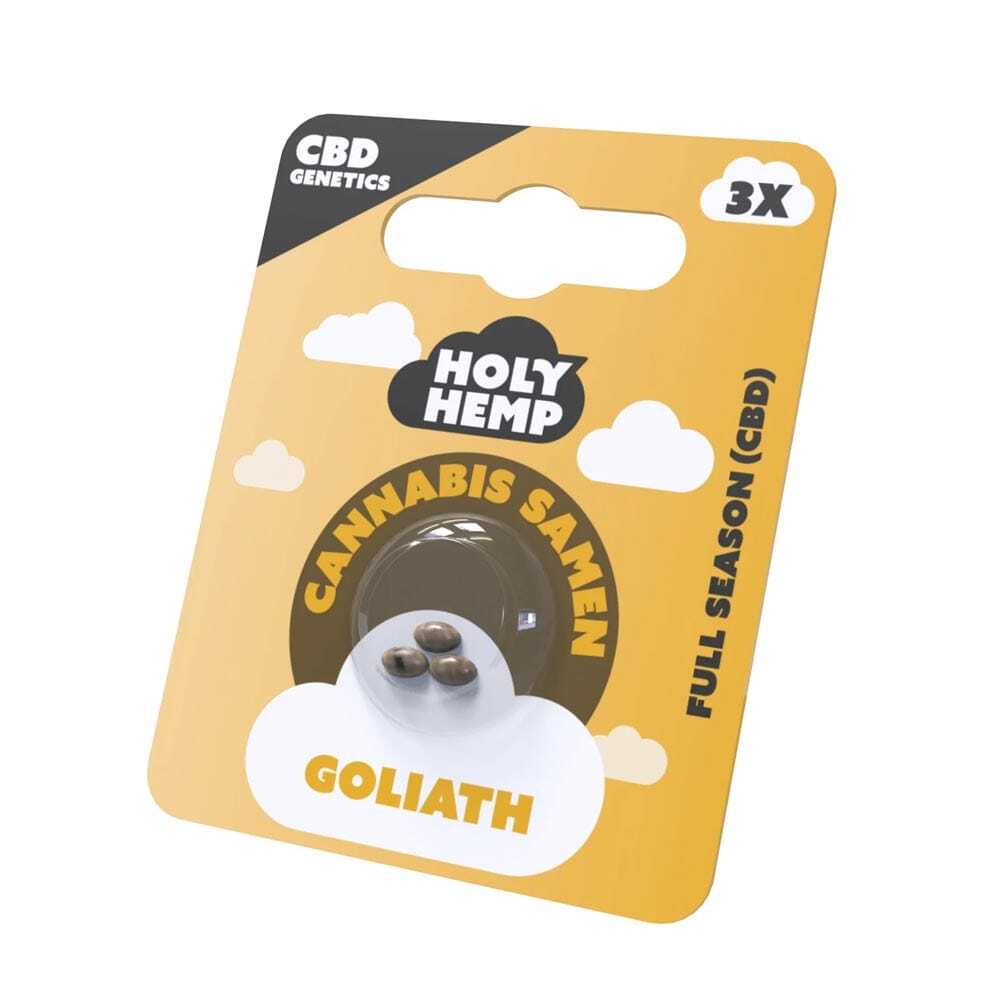 Holy Hemp Goliath CBD Samen ohne THC Full Season - Cannabis CBD Samen Goliath Holy Hemp Goliath CBD Samen ohne THC Full Season – Bild 2