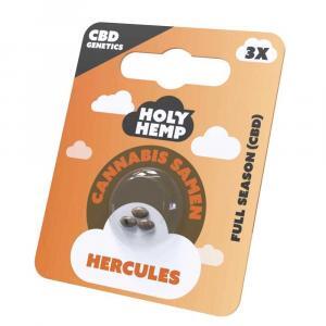Alternative view of Holy Hemp Hercules CBD Samen ohne THC Full Season