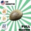 Cannabis samen full season us Genetic - Edelhanf - Ihr Premium CBD Shop