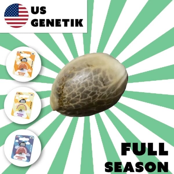 Full Season Cannabis Samen (US Genetic)