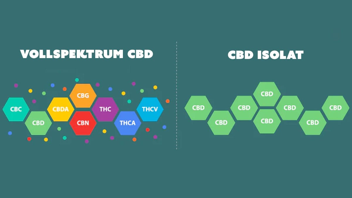 CBD Vollspektrum vs Isolat - Edelhanf - Ihr Premium CBD Shop