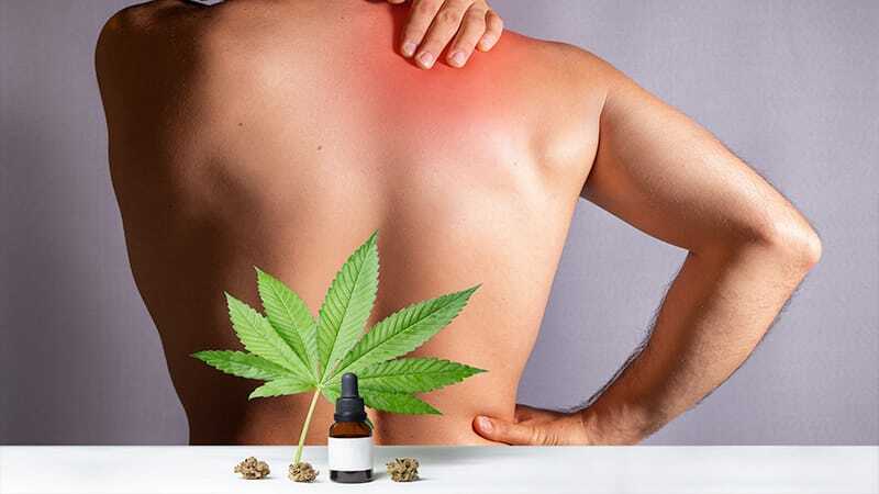 CBD Wirkung Nervensystem - Edelhanf - Ihr Premium CBD Shop