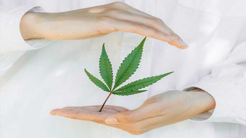 CBD bei Migraene - Edelhanf - Ihr Premium CBD Shop