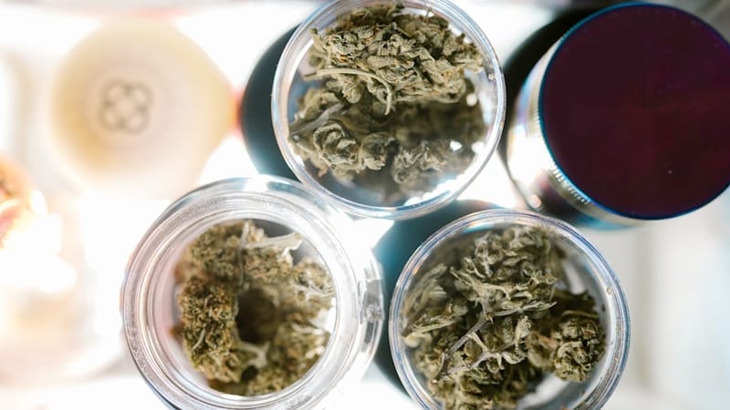 CBD Blueten Wirkung Erfahrungen - Edelhanf - Ihr Premium CBD Shop