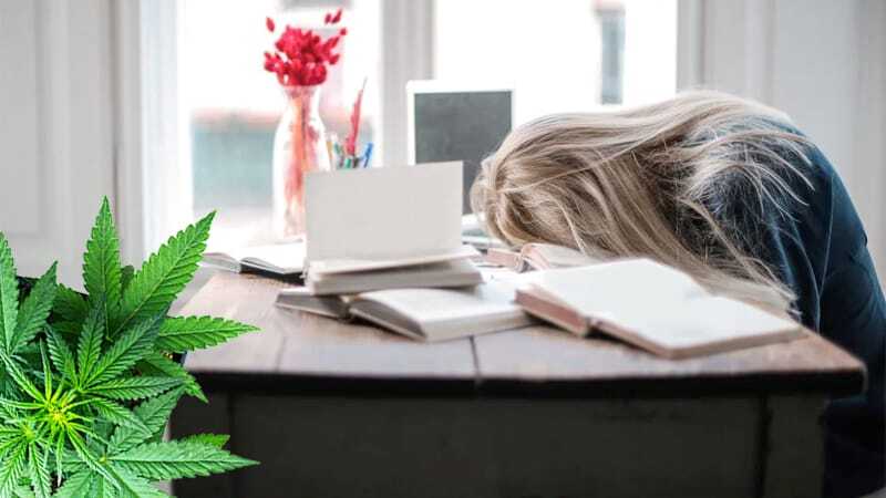 cbd muede - Edelhanf - Ihr Premium CBD Shop