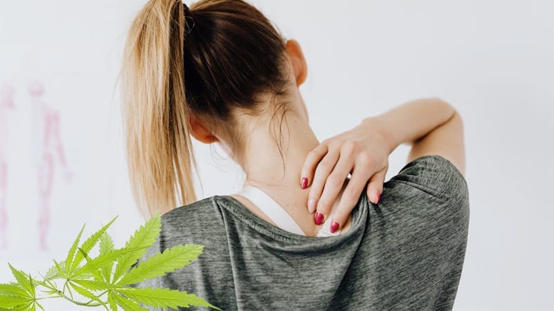 cbd rueckenschmerzen - Edelhanf - Ihr Premium CBD Shop