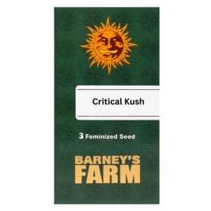 Barneys Farm Critical Kush Cannabis Samen Full Season - Barneys Farm Critical Kush Feminised 1 Barneys Farm Critical Kush Feminised 1 - Edelhanf - Ihr Premium CBD Shop