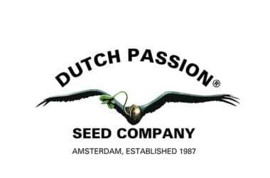 Dutch Passion
