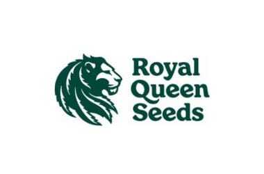 Royal Queen Seeds RQS