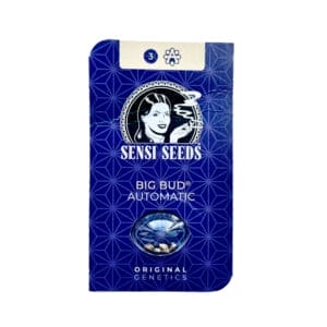 Alternative view of Sensi Seeds Big Bud Cannabis Samen Auto Flowering